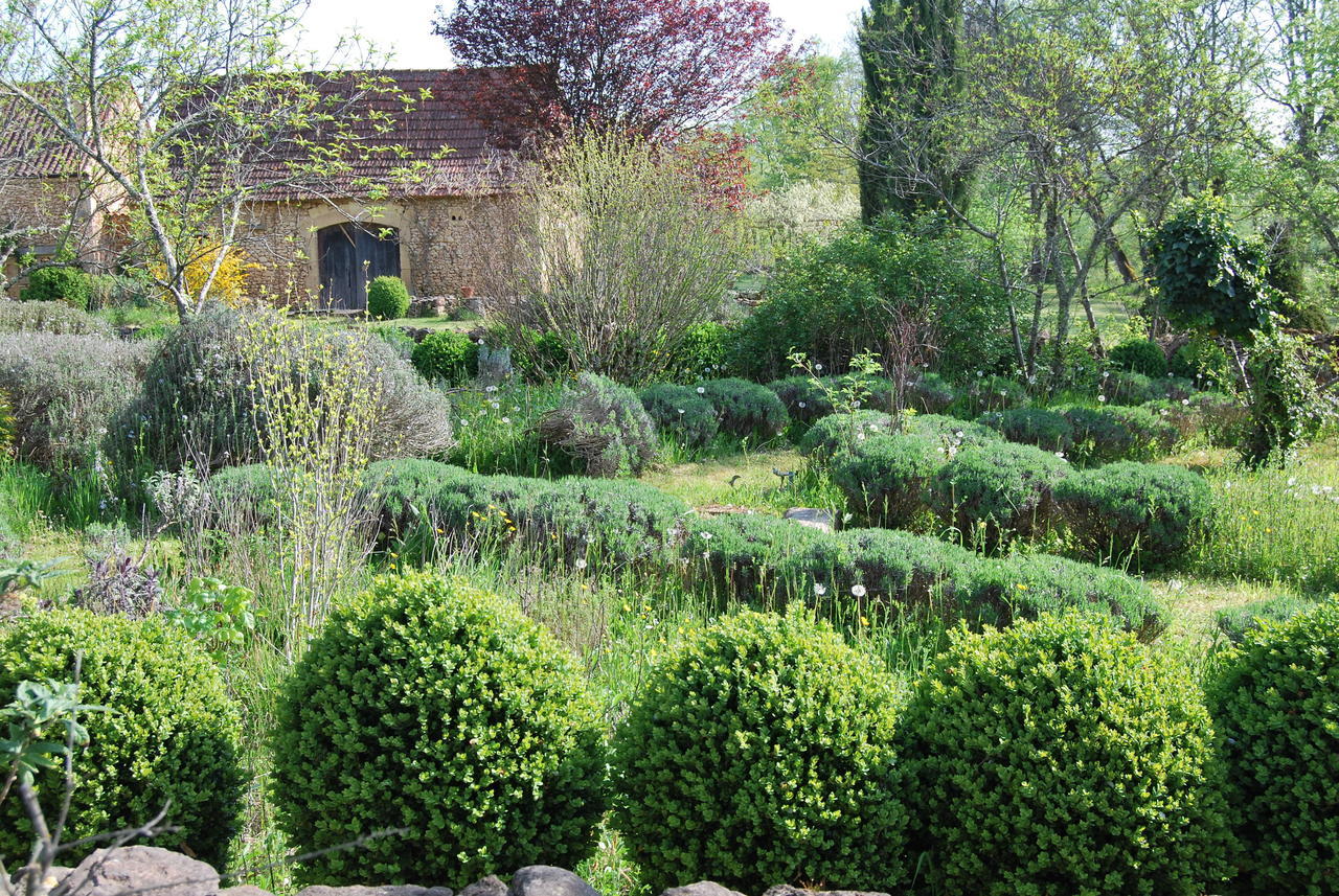 La Charmeraie Bed & Breakfast Saint-Cirq  Bagian luar foto