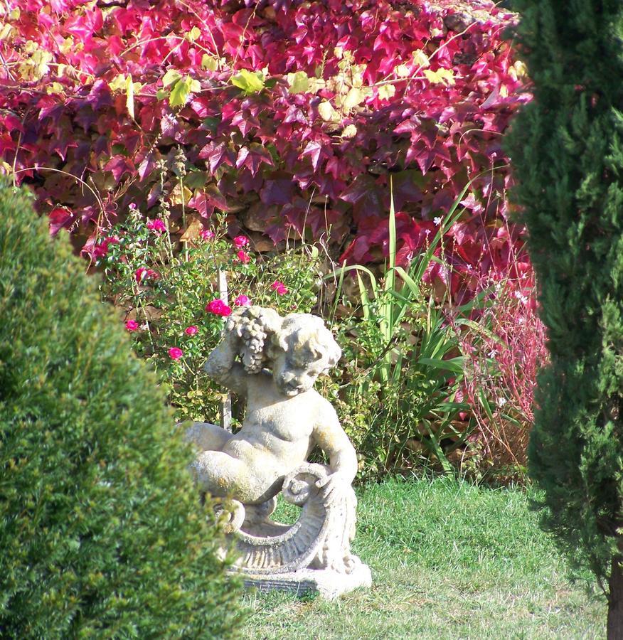 La Charmeraie Bed & Breakfast Saint-Cirq  Bagian luar foto